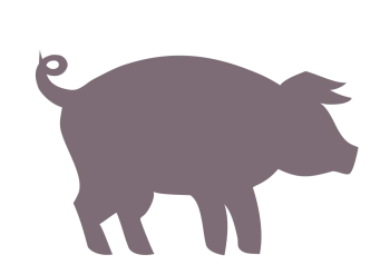 Assortiment de viande de porc 8.5kg