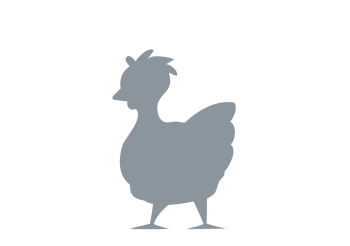poulet-illustration